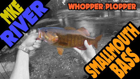 Smallmouth Bass Whopper Ploppin on the Milwaukee River kayak Bass Fishing on a mid August Day