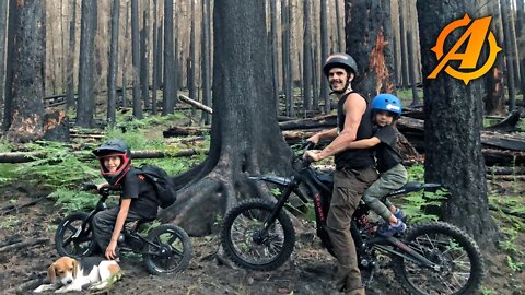 Riding Dirt Bikes to Ghost Forest Decimated By Wild Fire