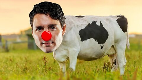 🤡 Justin Cow Trudeau 🐄
