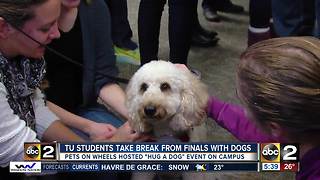 Dogs help Towson University students unwind during finals