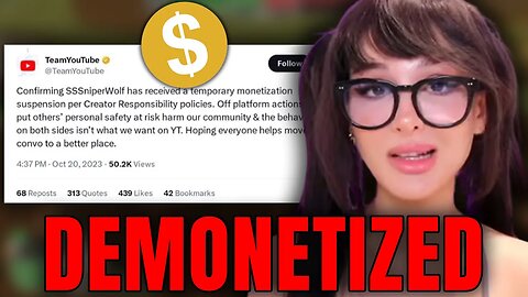 YouTube Just Demonetized SSSniperwolf...