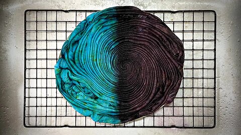 Tie Dye Pattern #533 - Super Sweet Shiitake & Parakeet Split Spiral Tie Dye T-Shirt (HWI)