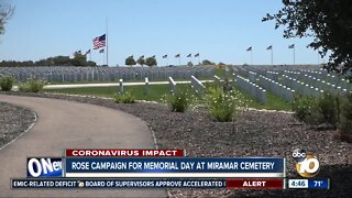 Rose campaign for Memorial Day at Miramar Cemetery