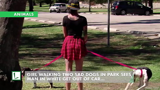 Girl Walking Two Sad Dogs in Park Sees Man in White Get out of Car…