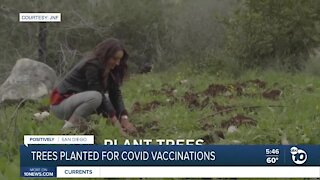 Non-profit offers a tree planting for those who get vaccine