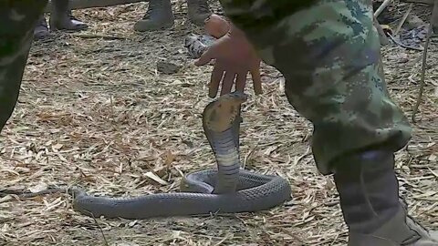 Soldier and Snake video