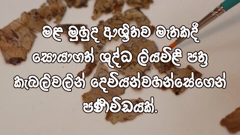 මළ මුහුද ආශ්‍රිතව මෑතකදී සොයාගත් ශුද්ධ ලියවිළි පත්‍ර කැබලිවලින් දෙවියන්වහන්සේගෙන් පණිවිඩයක්.