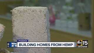 Homegrown house? Using 'hempcrete' to build homes