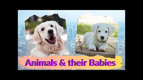 Animals and their babies. Names of young animals for kids to learn with subtitles. English for Kids.