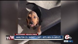 8-week-old K9 officer joins Hamilton County Sheriff’s Office