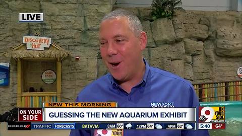'Mysterious' new exhibit is coming to the Newport Aquarium