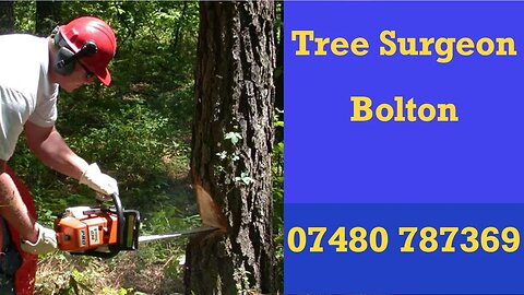 Tree Surgeon Bolton 24 Hour Tree Felling Root & Stump Removal Services Commercial And Residential