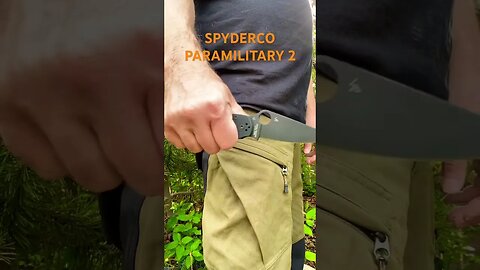 EDC knife today Spyderco Paramilitary 2 🔥🌶️