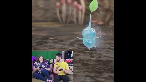 We Found the Ice Pikmin!