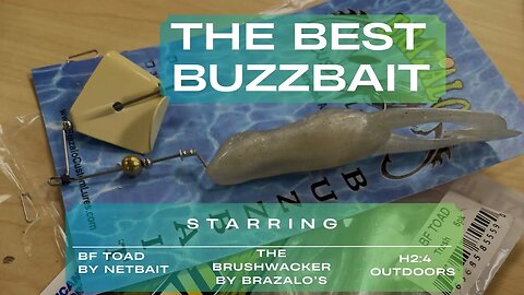 Is it the best buzz bait out there? #bassfishing #topwater