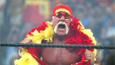 Hulk Hogan Is Back With WWE