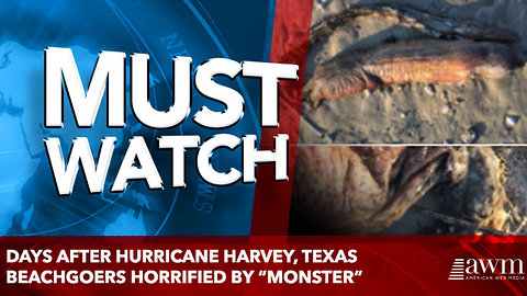 Days After Hurricane Harvey, Texas Beachgoers Horrified By “Monster”