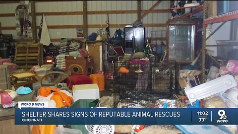 Arrest warrant issued for Butler County animal rescue owner following grizzly discovery