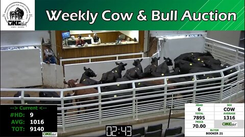 10/31/2022 - OKC West Weekly Cow & Bull Auction