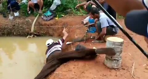 The seconds of a Ter angler falling into a fish pond