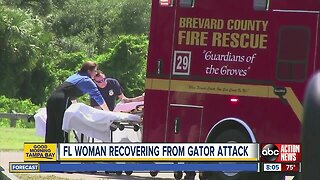 Florida woman bitten by alligator, flown to hospital