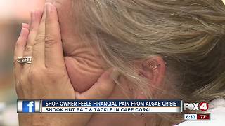 Local business owner feels financial pain due to algae