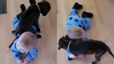 Adorable child mess up on floor with bestfriend's puppy