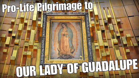 Pro-Life Pilgrimage to Our Lady of Guadalupe