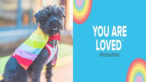 PetSmart BLASTED for Promoting PRIDE to Animals