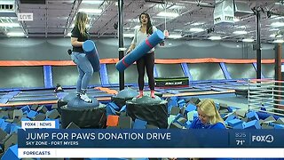 Cat Tails and More donation drive with Sky Zone
