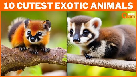 Unveiling the Charm: The 10 Cutest Exotic Animals in the World - A Must-See for Animal Lovers!"