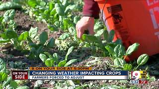 Local farmers struggle to save crops amid temperature changes