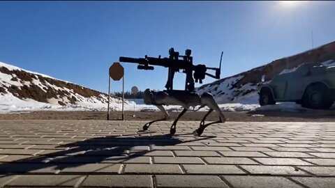 Video of robo dog with machine gun terrifies Internet