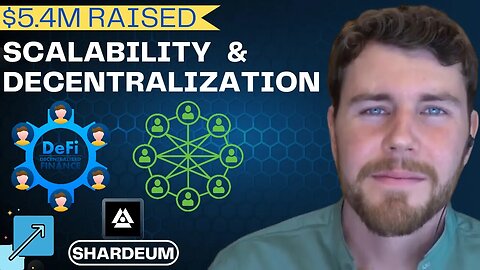 Growing both blockchain scalability and decentralization w/ Shardeum | Blockchain Interviews