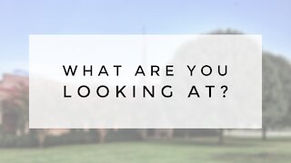 2.28.21 Sunday Sermon - WHAT ARE YOU LOOKING AT?