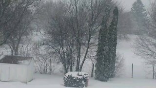 Wisconsin Snow
