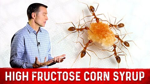 Ants Love High Fructose Corn Syrup (HFCS) as Much As We Do – Dr. Berg