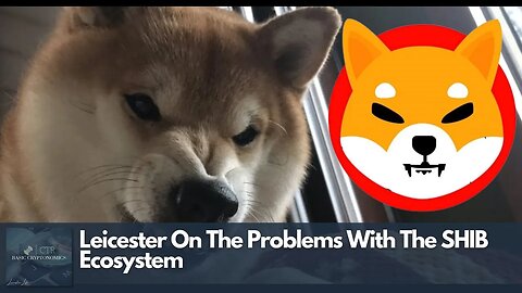 Leicester On The Problems With The #SHIB Ecosystem