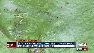 State politicians focus on blue-green algae