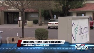 Maggots found under bandage at site of Phoenix patient rape