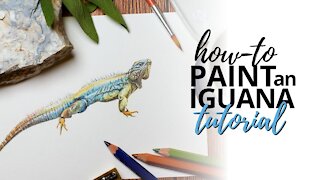 How to Paint an Iguana: Watercolor Pencil Process Painting