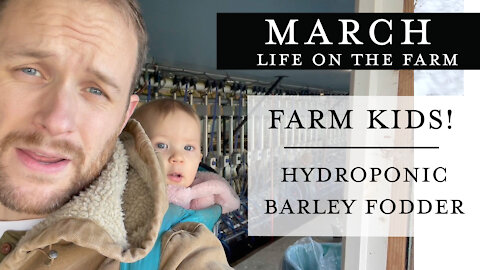 Farm Kids, Hydroponic Barley Fodder | March 2021 - Life on the Farm