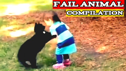 Part 2- animal funny moments | animal compilation fails in action