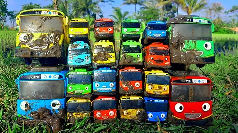 Mencari dan Menemukan Banyak Mainan Bus Tayo, Lani, Gani dan Rogi Kotor Berlumpur di Pematang Sawah