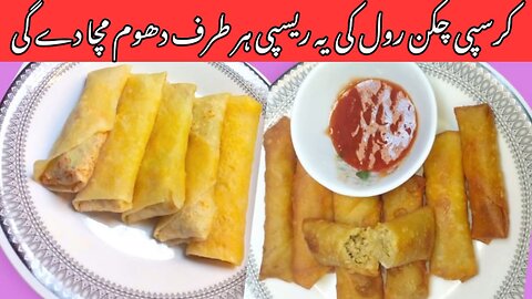 Keema Roll 😋 | Keema Roll Recipe 🔥| کرسپی قیمہ رول بنانے کا طریقہ | Aina Food Secrets