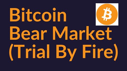 Bitcoin Bear Market (Trial By Fire)