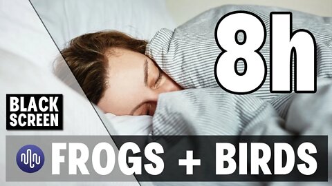 Bird & frog ambience for sleeping | 8 Hour Black Screen | Nature Ambient Background White Noise