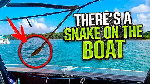 SSL676 ~ There's a SNAKE in the BOAT!