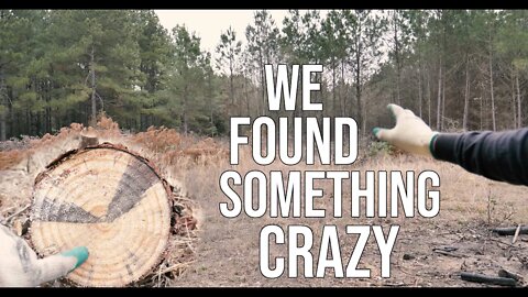 We Found Something Crazy While We Where Clearing Brush!