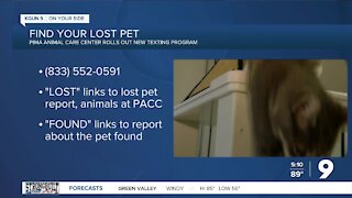 PACC introduces new texting program for lost or stray pets